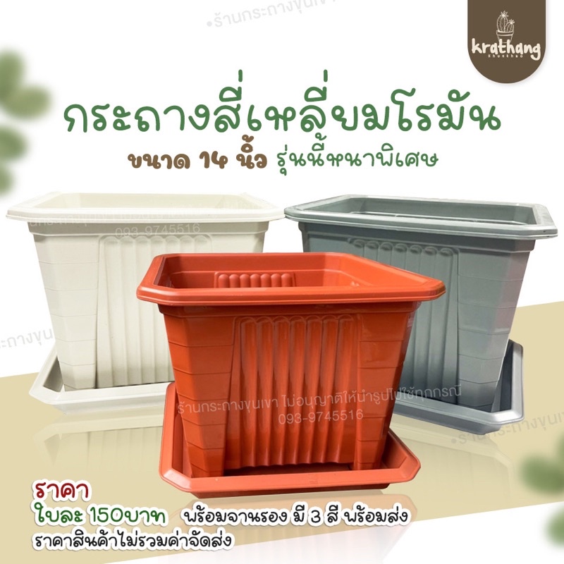 กระถางสี่เหลี่ยม-14นิ้ว-กระถางกุหลาบ-กระถางต้นไม้-กระถางพร้อมจารอง