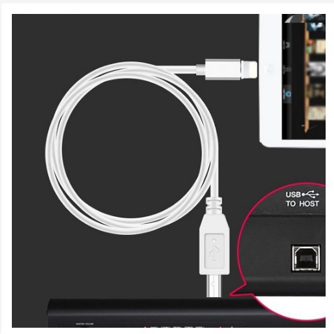 ภาพหน้าปกสินค้าMIDI Lightning to USB type B สำหรับเสียบ ผ่านระบบ IOS เข้าคีย์บอร์ดไฟฟ้า ยาว 1-1.5 M อินเทอร์เฟซเครื่องดนตรีเครื่องเสียง จากร้าน seednet_shop บน Shopee