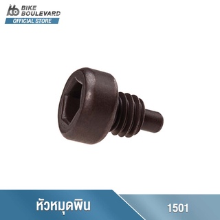 Park Tool 1501 REPLACEMENT PIN - FOR HCW-4 AND SPA-6 หัวหมุดพิน 1501 สำหรับถอดเปลี่ยน Park Tool HCW-4 และ SPA-6