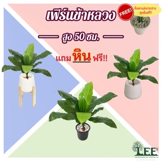 ต้นเฟิร์นข้าหลวงปลอม สูง 50 ซม. #ต้นไม้ปลอมตกแต่งบ้าน Leeartplants