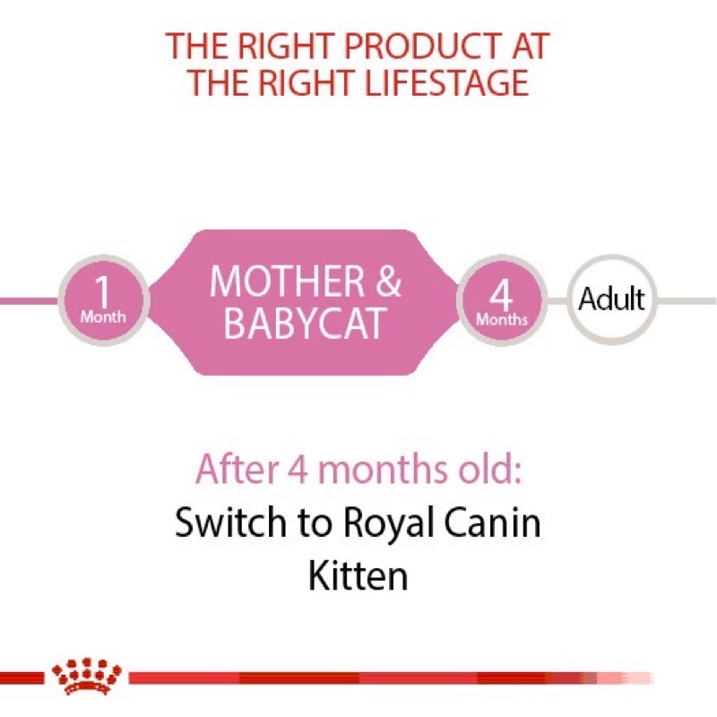 แพค-12-กระป๋อง-royal-canin-mother-baby-cat-can-tray-อาหาร-เปียก-ลูกแมว-อายุ-1-4-เดือน-มูส-195-กรัม