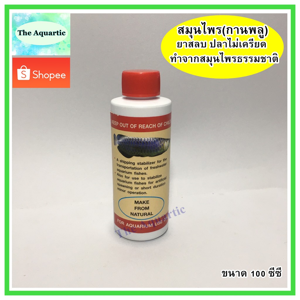 ตัวน้ำยาสลบสำหรับปลามังกร-ไม่มีสารเคมี-make-from-natural