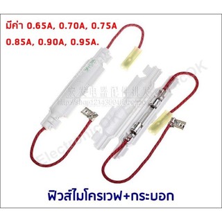 ภาพหน้าปกสินค้าฟิวส์ไมโครเวฟ พร้อมกระบอก 5KV 0.65A-0.95A ที่เกี่ยวข้อง