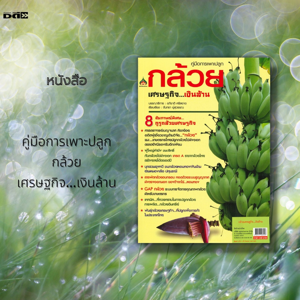 หนังสือ-คู่มือการเพาะปลูก-กล้วยเศรษฐกิจ-เงินล้าน-พันธุ์กล้วยเศรษฐกิจ-กล้วยไข่-กล้วยน้ำว้า-กล้วยหอม-สารพัดกล้วยอบกรอบ