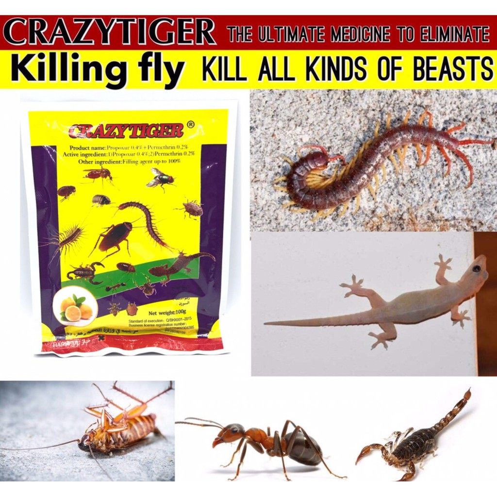 crazytiger-filling-fly-ผงกำจัดแมลงร้าย