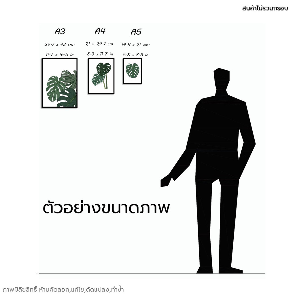 ภาพวาด-ภาพตกแต่ง-รูปตกแต่ง-monstera-มอนสเตอร่า-ใบไม้-กราฟฟิก-กระดาษ100ปอนด์-a3-a4-a5-ภาพพิมพ์-ตกแต่งผนัง