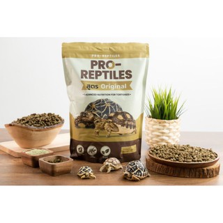 ❗พร้อมส่ง❗Pro-Reptiles​ โปรเเรปไทล์ อาหารเต่าบกขนาด 1 Kg สูตรออริจินอล