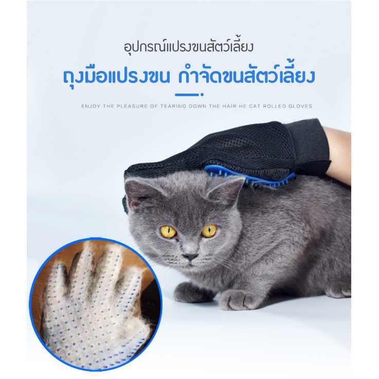 ถุงมือแปรงขน-กำจัดขนสัตว์เลี้ยง-หวีขนหมาและขนแมว-แปลงขนสัตว์-อุปกรณ์แปรงขนสัตว์เลี้ยง-กำจัดขนสัตว์เลี้ยง