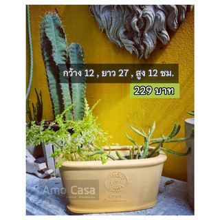 ✨ กระถางดินเผา Cactus เนื้อเนียน (สีดินเผา , เหลือง , ฟ้า , ครีม , เทา , ขาว) ✨