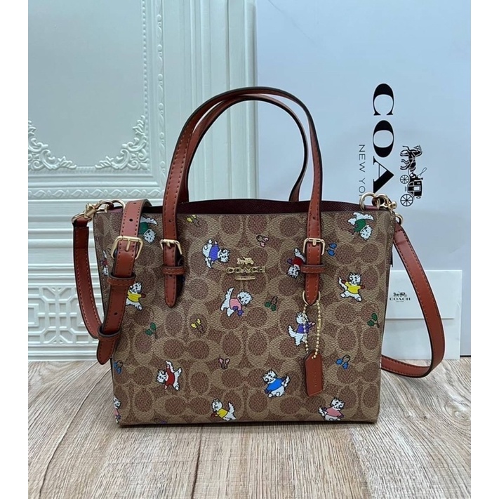 coach-c4250-mollie-tote-25-in-signature-canvas