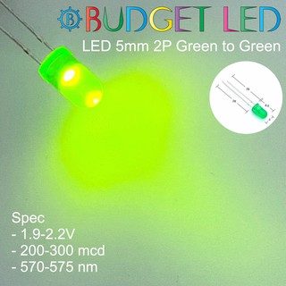 LED 5mm 2P Green to Green สีเขียวออกเขียว แอลอีดีหลอดขุ่น ความสว่างสูง ความร้อนต่ำ( 20 ชิ้น : 50 ชิ้น : 100 ชิ้น )