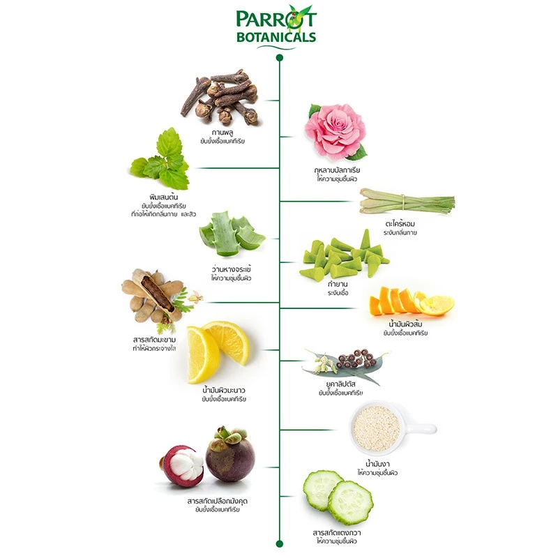 PARROT แพรอทครีมอาบน้ำ กุหลาบ สีชมพู Botanicals  Pink สบู่เหลว Liquid soap