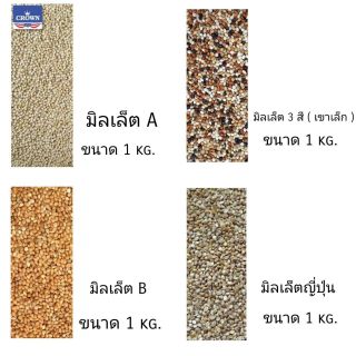 ภาพหน้าปกสินค้าอาหารนกเขา อาหารนกตระกลูปากเล็ก มิลเล็ต 1kg ที่เกี่ยวข้อง