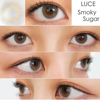 Contactlens คอนแทคเลนส์ญี่ปุ่น รายเดือน Luce