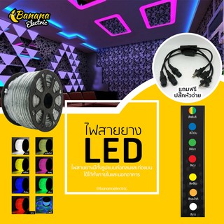 ฺBanana stores ไฟสายยาง LED สายยางท่อกลม 220V ขนาด 100 เมตร ตัดได้ทุกๆ 2เมตร จำหน่ายยกม้วนแถมปลั๊กหัวจ่าย 3 เส้น