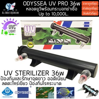 Odyssea UV Pro 36w (UV แบบกระบอก กำจัดเชื้อโรคทุกชนิด ตะไคร่น้ำเขียว ทำให้น้ำใส) หลอดคุณภาพสูงแบรนด์ดัง มีอะไหล่เปลี่ยน