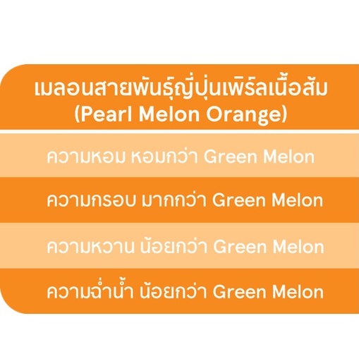 เมล่อนญี่ปุ่นเนื้อส้ม-แตงญี่ปุ่นเนื้อส้ม-pearl-melon-orange