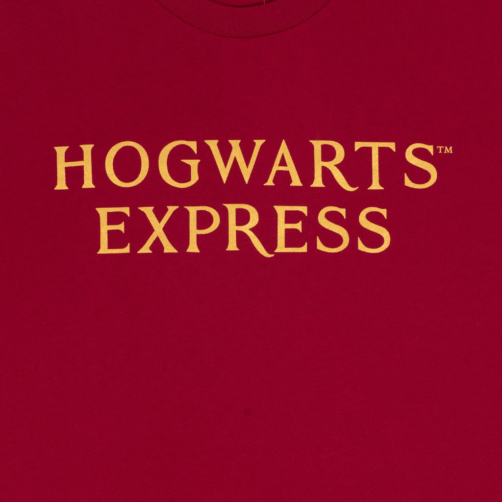 warner-bros-harry-potter-men-gold-metallic-print-t-shirt-เสื้อแฮร์รี่-พอตเตอร์พิมพ์เมทัลลิคสีทอง-yy2180