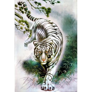 โปสเตอร์ รูปวาด ภูกันจีน เสือ ภาพมงคล เสริมฮวงจุ้ย Tiger 水墨 POSTER 23”x34” นิ้ว Chinese Brush Painting Ink Wash Art V3