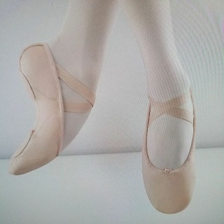 S0200L Bloch Proflex Leather Ballet shoes