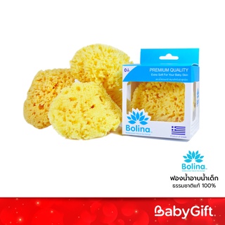Bolina ฟองน้ำอาบน้ำเด็ก ธรรมชาติแท้ 100%  ใช้ได้ตั้งแต่แรกเกิด