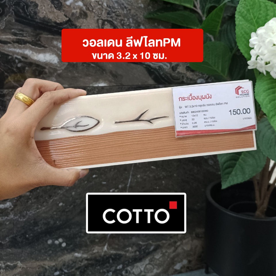 กรุยเชิง-cotto-12-x-12ซม-กระเบื้องบุผนัง-มีหลายแบบให้เลือก-ราคา-แผ่น