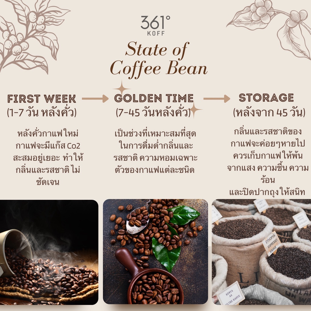 geisha-blend-beans-เมล็ดกาแฟอราบิก้าคั่วแท้-100