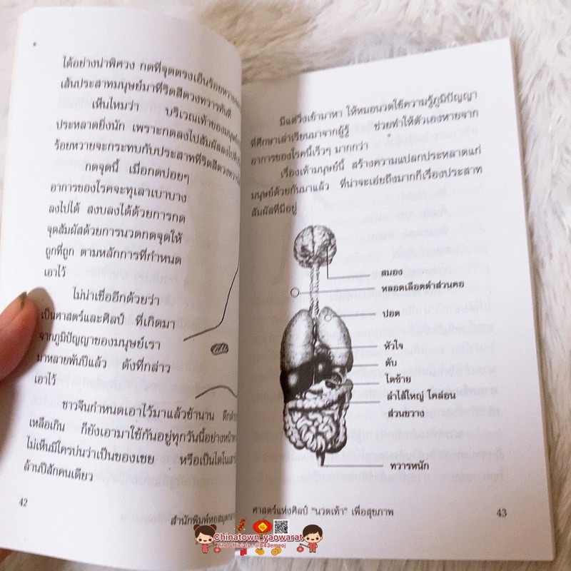 หนังสือ-นวดเท้าเพื่อสุขภาพ-เล่มเขียว-กดจุดรักษาโรค-การนวดกดจุด-ลมปราณ-ไม้กดจุด-กัวซา-เบาะนวด-นวดแผนโบราณ-นวดแผนไทย