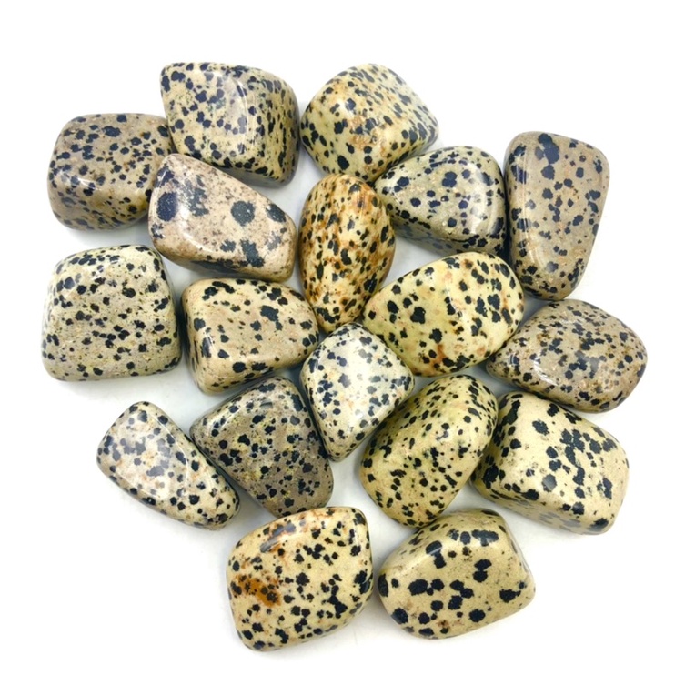 ภาพสินค้า1 pc Natural Dalmatian Jasper 2-3 cm Polished Tumble Stone / Top High Quality Stone / Pocket Stone Healing Chakra. จากร้าน lapisbkk บน Shopee ภาพที่ 2