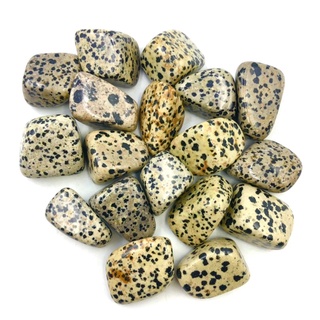 ภาพขนาดย่อของภาพหน้าปกสินค้า1 pc Natural Dalmatian Jasper 2-3 cm Polished Tumble Stone / Top High Quality Stone / Pocket Stone Healing Chakra. จากร้าน lapisbkk บน Shopee ภาพที่ 2