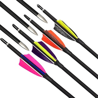 31 '' ลูกศรคาร์บอน 2 '' ตุรกี Feather Archery Spine900 Recurve Bow Hunting Shoot