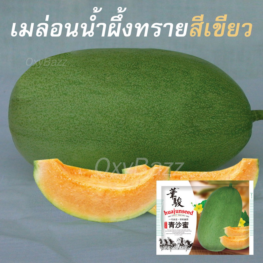 เมล็ดพันธุ์เมล่อนน้ำผึ้งทรายสีเขียว-ลูกผสมล็ด-เมล็ดแตงทิเบต-เมล็ดแตงฮามิกัว50-เมล็ด-ไม่ใช่พืชที่มีชีวิต