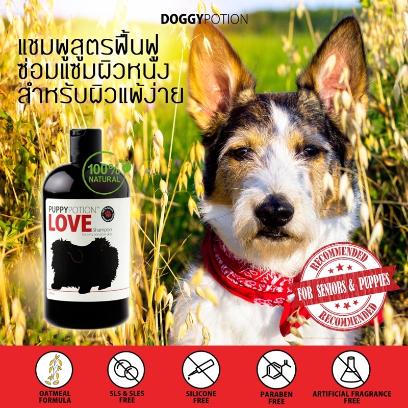 puppy-potion-love-shampoo-สูตรสำหรับผิวแพ้ง่าย-ขนาด-2000ml