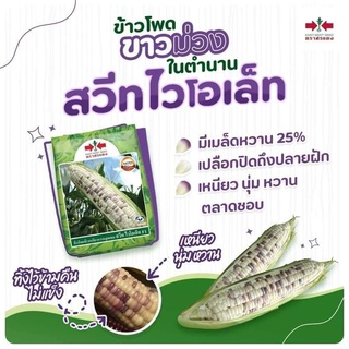 ข้าวโพด สวีทไวโอเล็ท EXTRA ขนาด 1 กิโลกรัม  ตราศรแดง เหนียวนุ่ม รสชาติหวาน