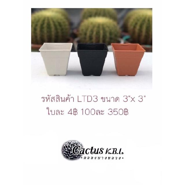 LTD3 กระถางต้นไม้แคคตัส มีให้เลือก 2 สี ขนาด 3 x 3 นิ้ว 100 ใบ