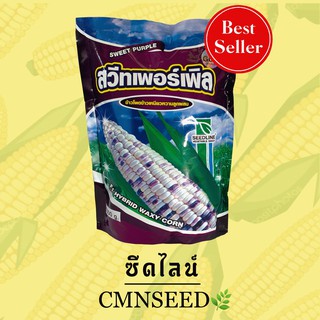 เมล็ดพันธุ์ ข้าวโพดข้าวเหนียวสวีทเพอร์เพิล 1000g.