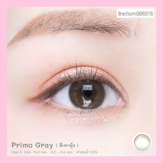 Mini Primo Gray (มินิขนาดเท่าตา)สายตาปกติถึง-500 คอนแทคเลนส์ ( Kitty kawaii)