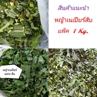 หญ้าสับ  หญ้าเนเปียร์สับ (เหมาะกับกระต่าย  หนู  ไก่ชน  ไก่ไข่ ตั๊กแตน  ฯลฯ)  ขนาด  1  กิโลกรัม