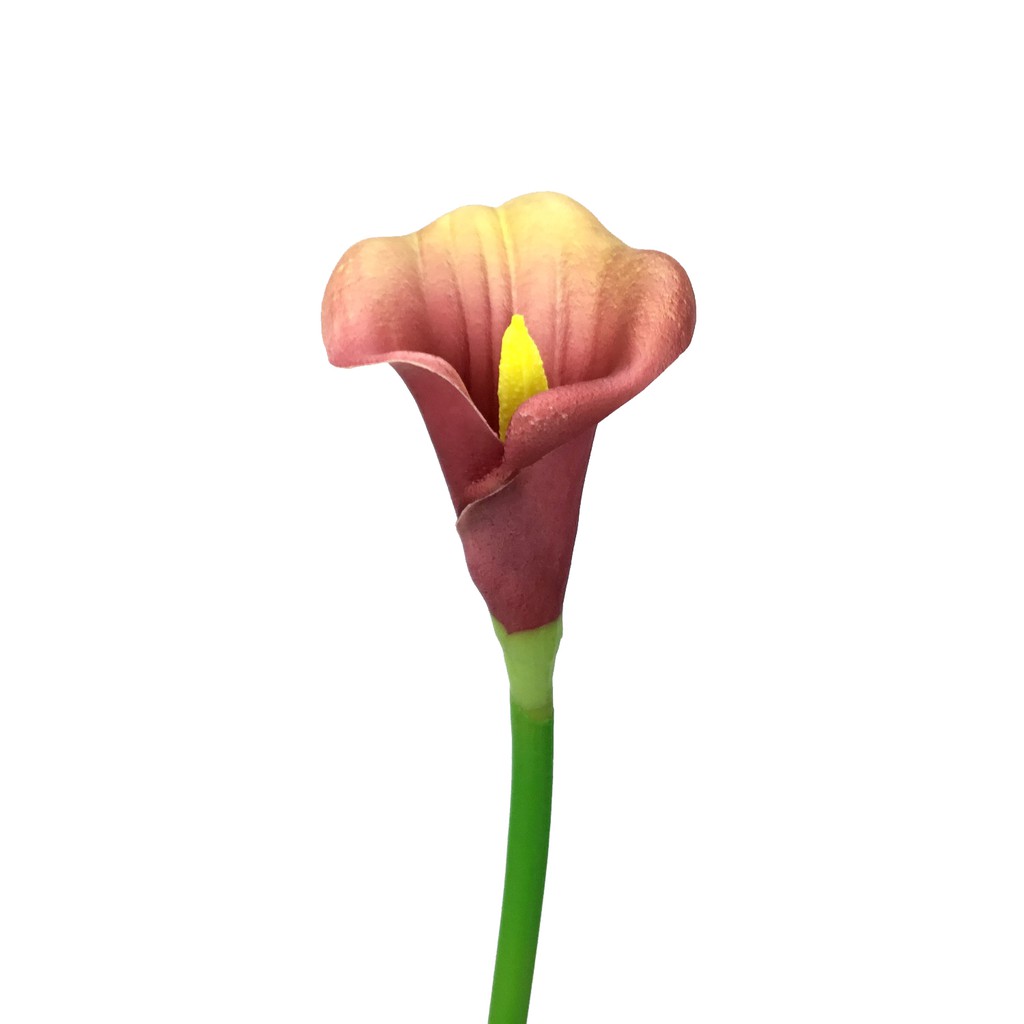 ดอกคาล่าลิลลี่-artificial-calla-lily-ลิลลี่ปลอม-ยาว-69-cm-ดอกไม้ประดิษฐ์เกรดพรีเมี่ยม-งานสวยเหมือนจริง