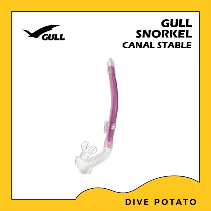 gull-canal-stable-snorkel-สน็อกเกิ้ลสำหรับดำน้ำ