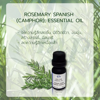 น้ำมันหอมระเหยโรสแมรี่  Rosemary Essential Oil