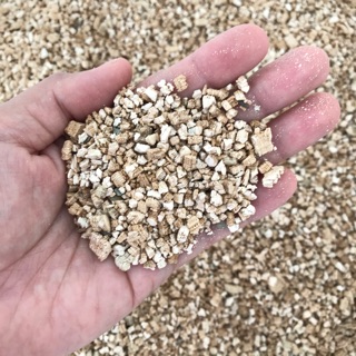 เวอร์มิคูไลต์ (Vermiculite) 1 ลิตร 35 บาท