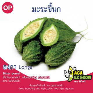 เมล็ดพันธุ์ มะระขี้นก ลงกา บรรจุ 2 กรัม [โปรโมชั่น ซื้อ10ซอง แถมฟรี 1ซอง]