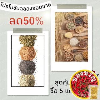 เมล็ดอวบอ้วน100%เมล็ดพันธุ์ กุหลาบเลื้อย กุหลาบ สีแดง 30 เมล็ด Red Rose Seed เมล็ดพันธุ์แท้ นำเข้าจากต่างประเทศ ปลูกผัก