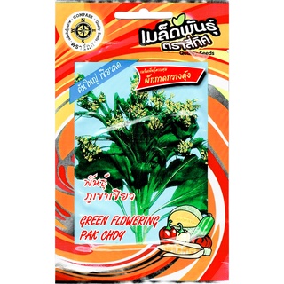 เมล็ดพันธ์ุ กวางตุ้ง พันธุ์ภูเขาเขียว 10 กรัม (3,500 เมล็ด)/ซอง ตราสี่ทิศ