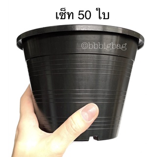 กระถางแคคตัส ปากกว้าง 5.5 นิ้ว กระถางกระบองเพชร กระถางต้นไม้ เซ็ท 50 ใบ