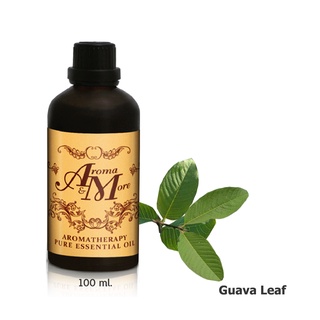 Aroma&amp;More Guava Leaf essential oil น้ำมันหอมระเหยใบฝรั่ง 100% / Thailand 100ML