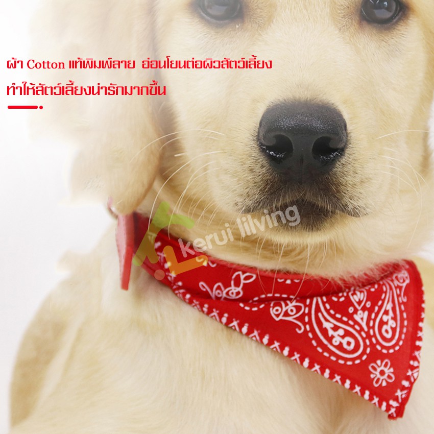 ปลอกคอสัตว์เลี้ยง-สำหรับสุนัขและแมว-ปลอกคอผ้าสามเหลี่ยม-ผ้าพันคอน้องหมาน้องแมว