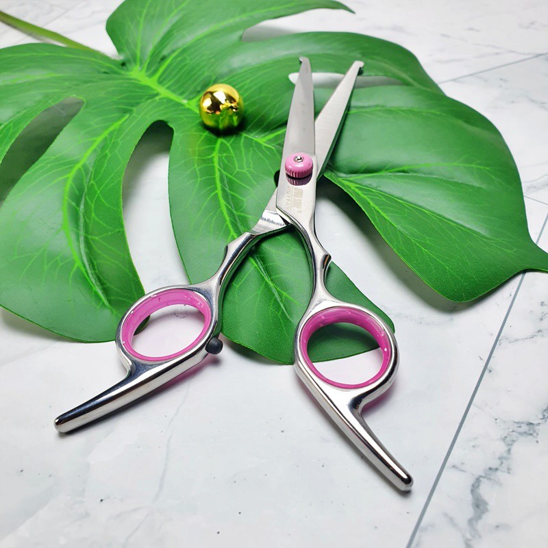 กรรไกรตัดขนสุนัข ปลายโค้งสแตนเลส Top Paw Scissors Curved ball tip