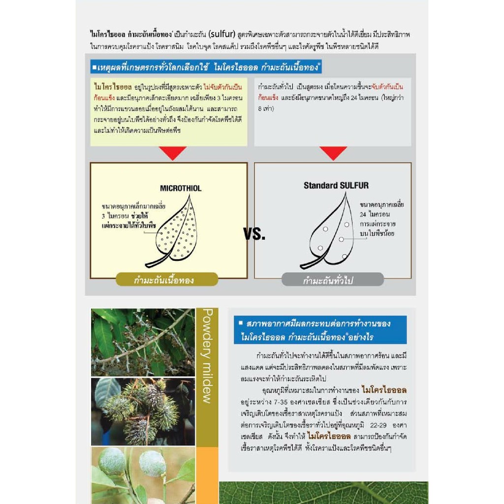 ไมโครไธออล-กำมะถันเนื้อทอง-microthiol-special-ไมโครไธออล-กำมะถันเนื้อทอง-ป้องกันจำกัด-โรคพืช-ขนาด1-กิโลกรัม